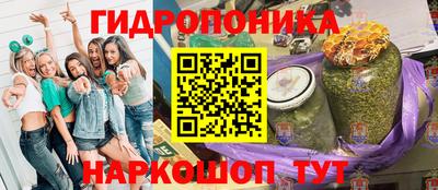 гашиш Кингисепп