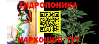 гашиш Кингисепп