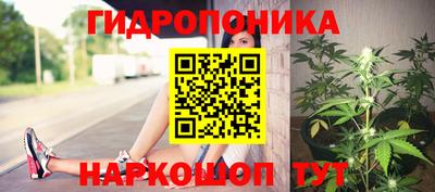 гашиш Кингисепп