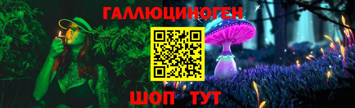Балашов  Галлюциногенные грибы Psilocybine cubensis  Вход с VPN  Псилоцибиновые грибы мицелий 